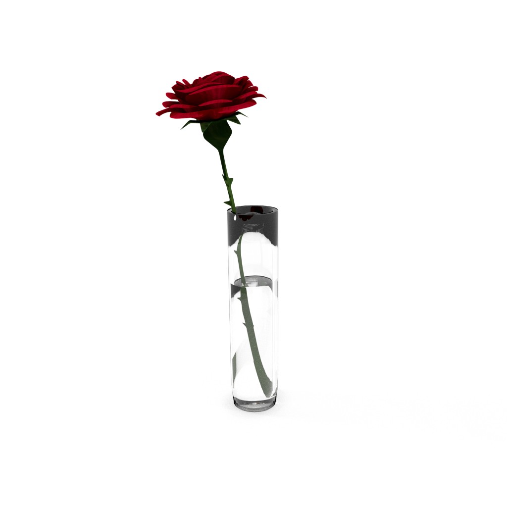 Rose in glass vase preview image 1
